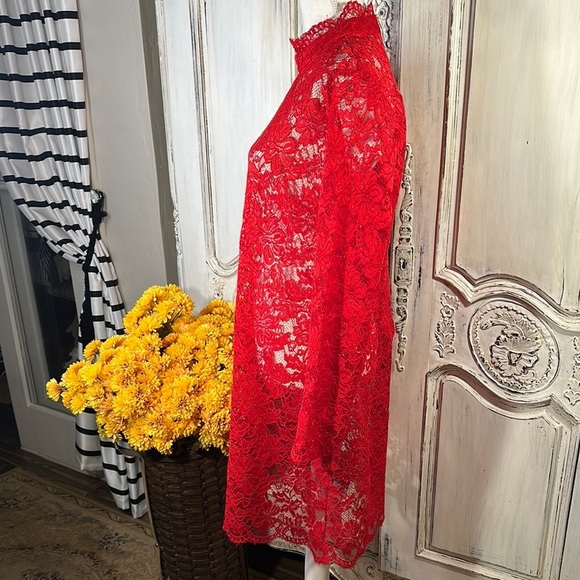 Elegant Red Lace Mini Dress - Picture 7 of 11
